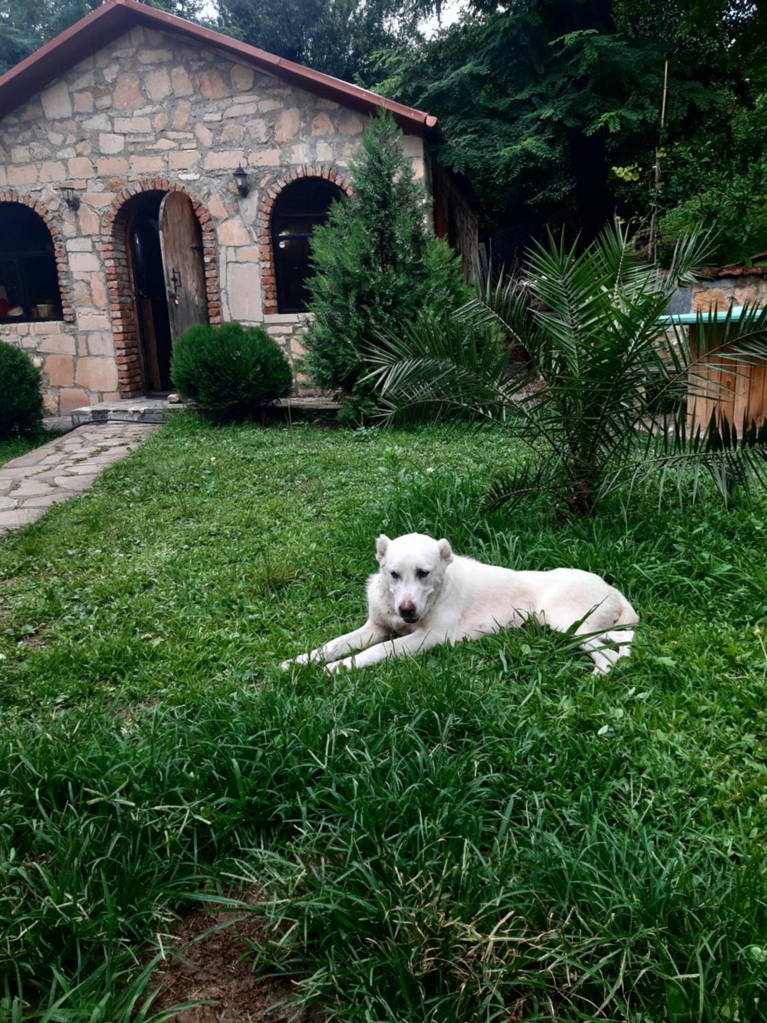 Guest House Godogani Εξωτερικό φωτογραφία